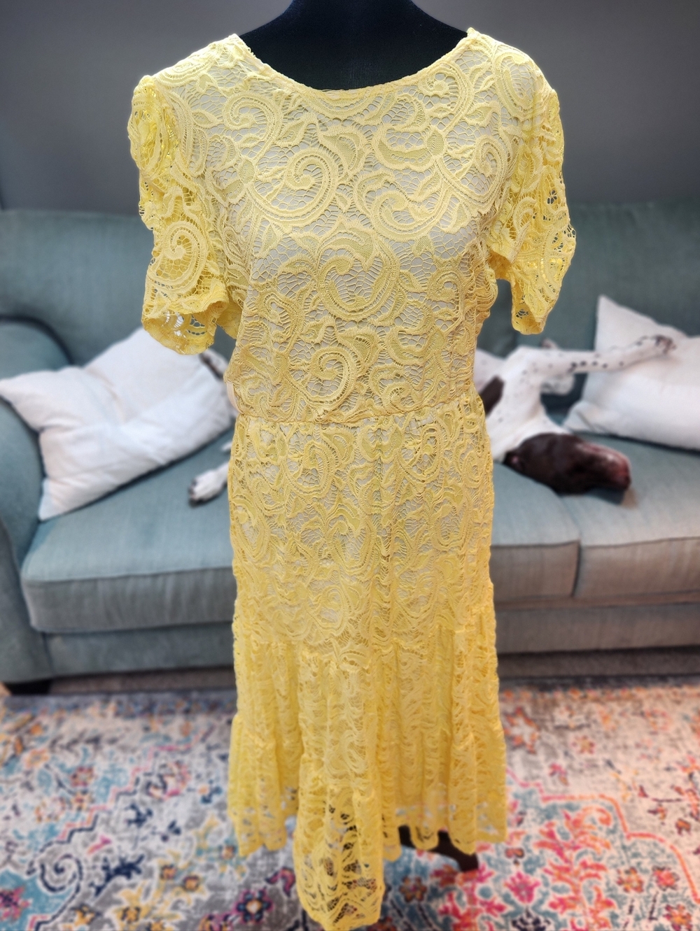 Yellow Lace Midi Dress -Elizabeth & Nichole Vintage! Made In USA XL